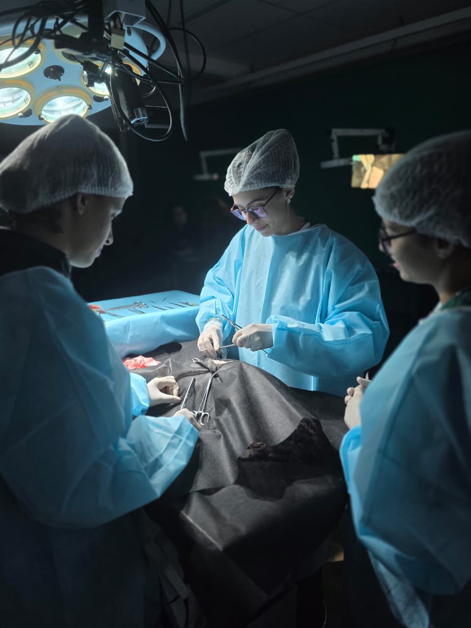 WhatsApp Image 2026-01-06 at 16.07.27 (1)