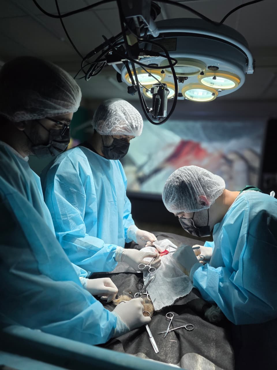 WhatsApp Image 2026-01-06 at 16.07.27